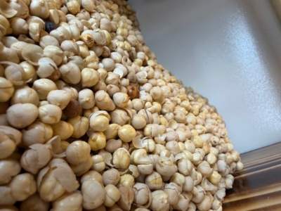 نخود ریز بی نمک