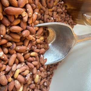 بادام زمینی استانه درشت